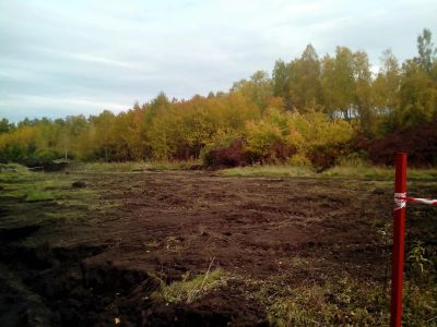 Лот: 5097100. Фото: 1. Земельный участок напротив Сосновоборска... Земельные участки
