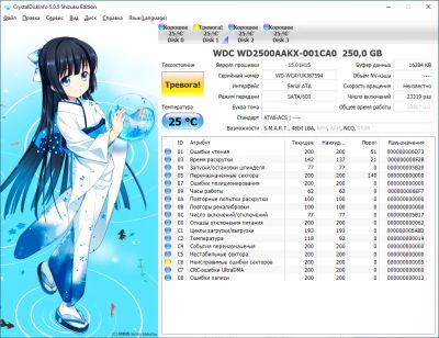 Лот: 18405149. Фото: 1. Жесткий диск 250Gb 7200rpm WD... Жёсткие диски (HDD)
