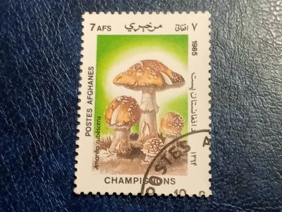 Лот: 25647849. Фото: 1. - Марки для Вашей коллекции. лот... Марки