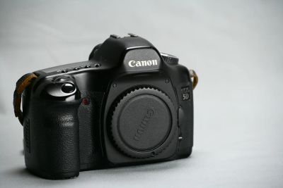 Лот: 3194531. Фото: 1. Canon 5D. Цифровые зеркальные