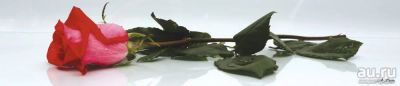 Лот: 13829591. Фото: 1. SP 032 Стеновые дизайн панели... Фартуки для кухни