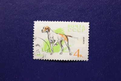 Лот: 7367274. Фото: 1. Почтовая марка №4879 в коллекцию. Марки
