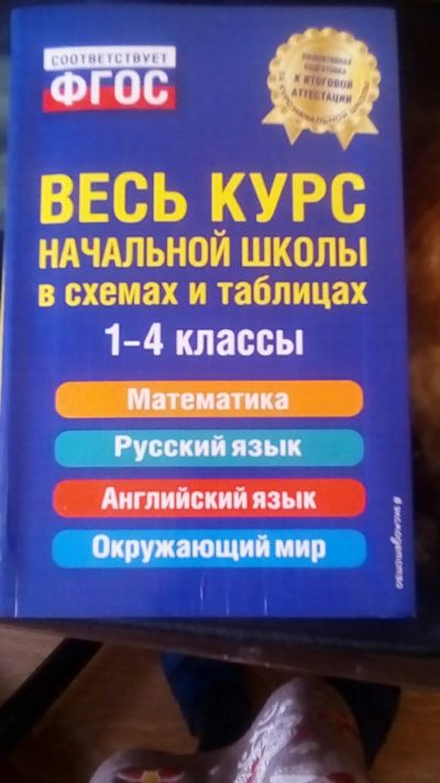 Лот: 14923525. Фото: 1. курс начальной школы. Для школы