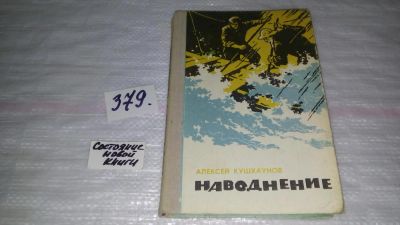 Лот: 9166316. Фото: 1. Кушхаунов, А.Ш. Наводнение... Художественная
