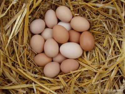 Лот: 8033397. Фото: 1. Куринное яйцо от своих домашних... Мясо, птица, яйцо
