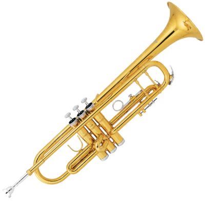 Лот: 4567728. Фото: 1. Труба Sebastian STR-400G. Духовые