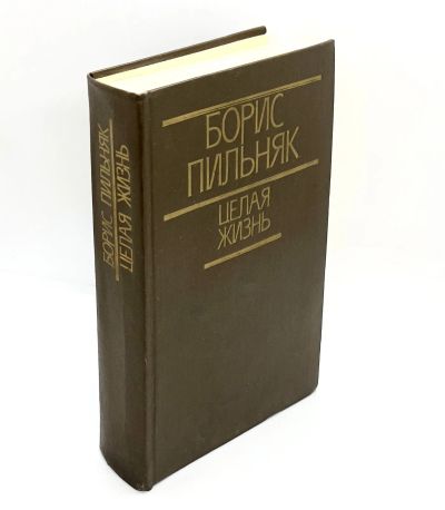 Лот: 13367890. Фото: 1. 📙 Борис Пильняк. Целая жизнь... Художественная