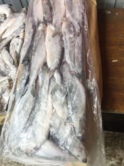 Лот: 11374120. Фото: 1. Продам сельдь Т/О крупная. Икра, рыба, морепродукты