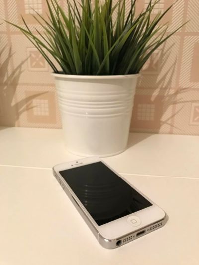 Лот: 9404742. Фото: 1. iPhone 5, 16 GB (белый). Смартфоны