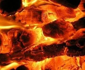 Лот: 12773715. Фото: 1. Уголь балахта орех. Другие (дрова, топливо)