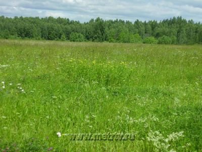 Лот: 7046078. Фото: 1. продам обменяю земельный участок... Земельные участки