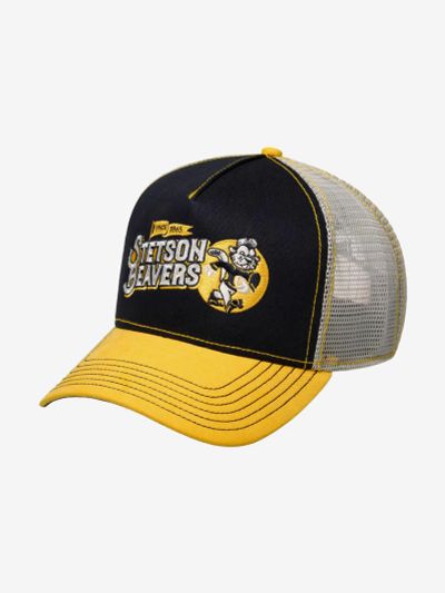 Лот: 22437654. Фото: 1. Бейсболка с сеточкой STETSON 7751181... Другое (спортивная одежда)