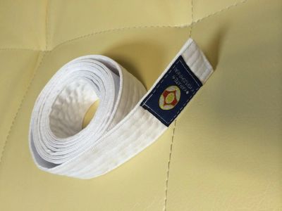 Лот: 4746222. Фото: 1. Два белых пояса отдам. Другое (дети растут)