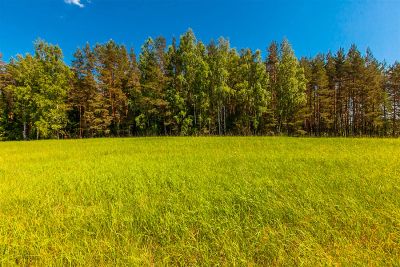 Лот: 15271531. Фото: 1. Участок СНТ Черемшанка. Земельные участки