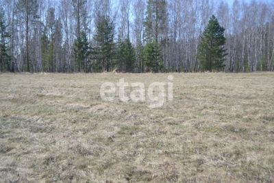 Лот: 25293726. Фото: 1. участок , деревня Мужичкино Дивная... Земельные участки