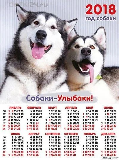 Лот: 10630328. Фото: 1. Подарок на НГ символ года: Календарь-плакат... Подарки на Новый год