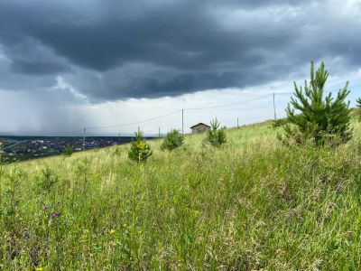 Лот: 25295890. Фото: 1. участок , СНТ Восточное СНТ Восточное... Земельные участки