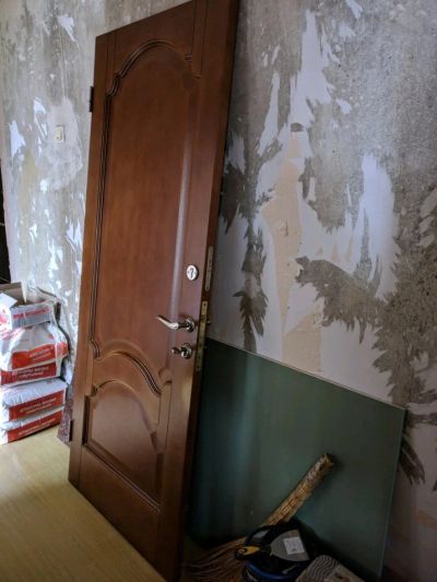 Лот: 11612766. Фото: 1. Дверь входная. Двери входные