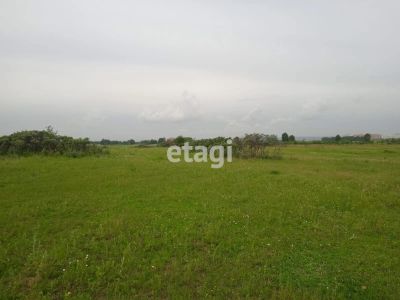 Лот: 25295766. Фото: 1. участок , СНТ Кедр СНТ Кедр, 7192... Земельные участки
