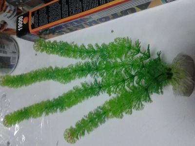 Лот: 4894928. Фото: 1. Водоросли искуственные. Грунты, украшения, наполнения