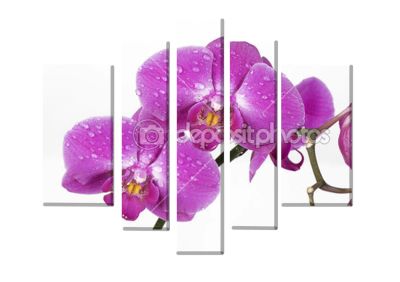 Лот: 4465440. Фото: 1. Модульная картина "Орхидея". Холсты чистые