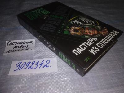 Лот: 24912501. Фото: 1. (3092342)Серегин М. Праведник... Художественная