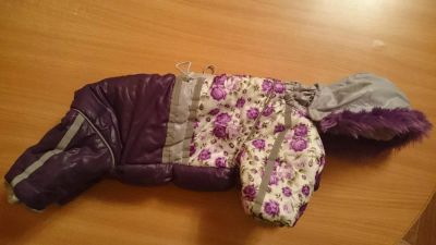 Лот: 8833843. Фото: 1. Зимний комбинезон для собаки... Другое (одежда, обувь, галантерея)