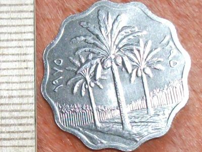 Лот: 8164217. Фото: 1. Монета 5 филс пять Ирак 1975 флора... Азия