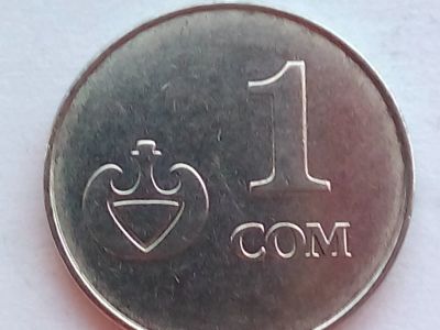 Лот: 16327071. Фото: 1. Монета Киргизии 1 сом, 2008. Ближний восток