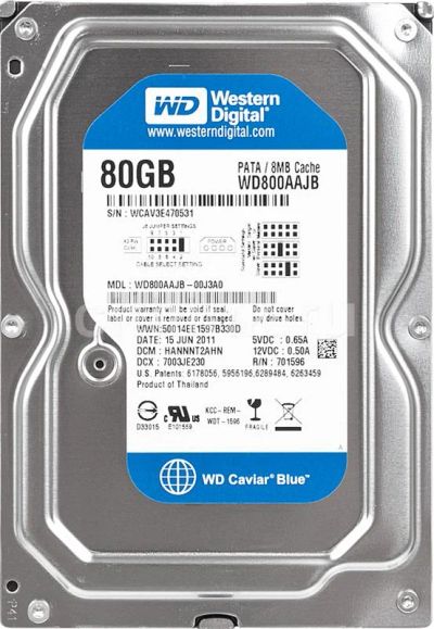 Лот: 4569202. Фото: 1. Жесткий диск Western Digital 80... Жёсткие диски (HDD)