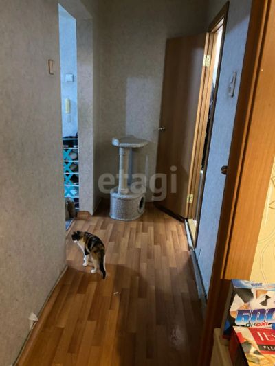 Лот: 25292606. Фото: 1. 1-комн. квартира , Красноярск... Квартиры, студии