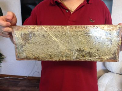 Лот: 14467210. Фото: 1. Мед в сотах. Новый урожай. Осталась... Мёд, продукты пчеловодства