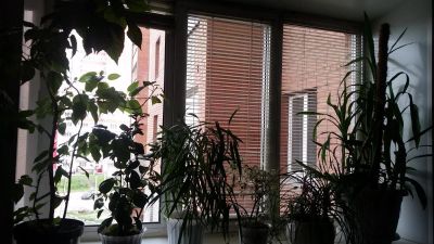 Лот: 10199962. Фото: 1. Окно пластиковое трехстворчатое... Окна, балконы