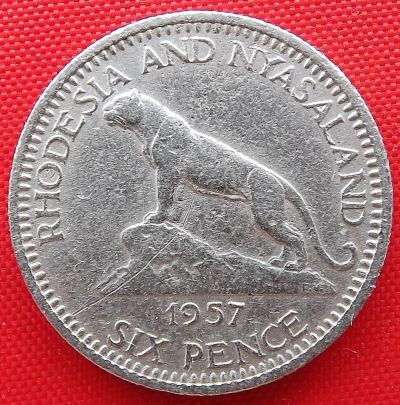 Лот: 4587759. Фото: 1. (№3492/LF) 6 пенсов 1957 (Родезия... Африка