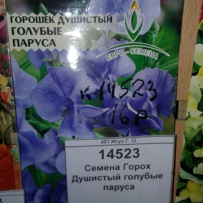 Лот: 9115599. Фото: 1. Семена / Горох / Душистый / голубые... Садовые цветы
