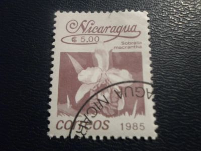 Лот: 17240930. Фото: 1. Марка для Вашей коллекции. №25761. Марки