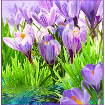 Лот: 3893372. Фото: 1. продам фото обои с рубля(подснежники... Обои, панели, ДВП, ДСП, МДФ