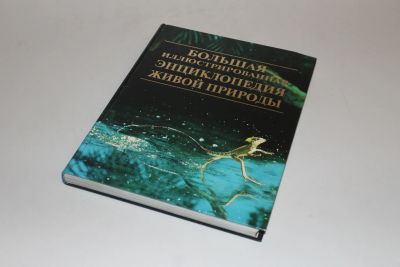 Лот: 12484611. Фото: 1. Д. Берни. Большая иллюстрированная... Энциклопедии