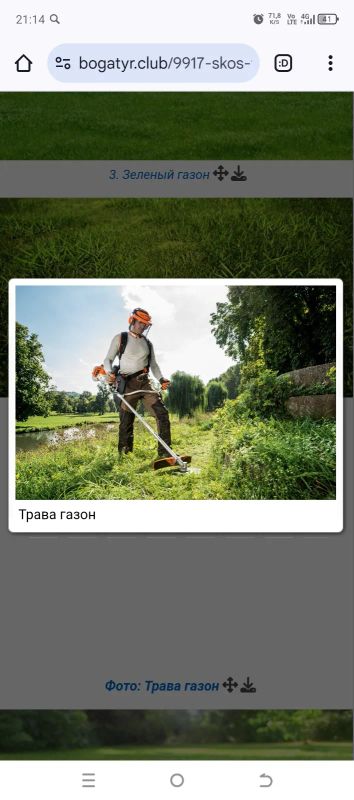 Лот: 25429804. Фото: 1. Покос травы. Благоустройство и озеленение участка