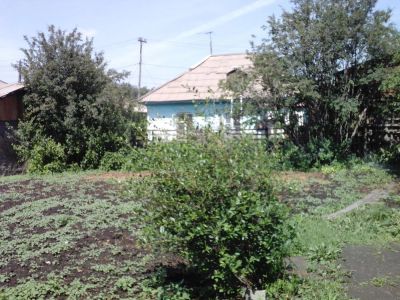 Лот: 7785110. Фото: 1. продам дом торгашино. Дома