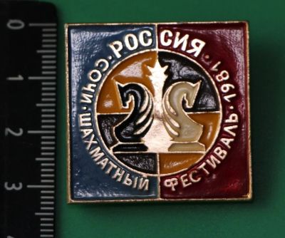 Лот: 11467483. Фото: 1. Большой значок: Россия. Сочи... Сувенирные