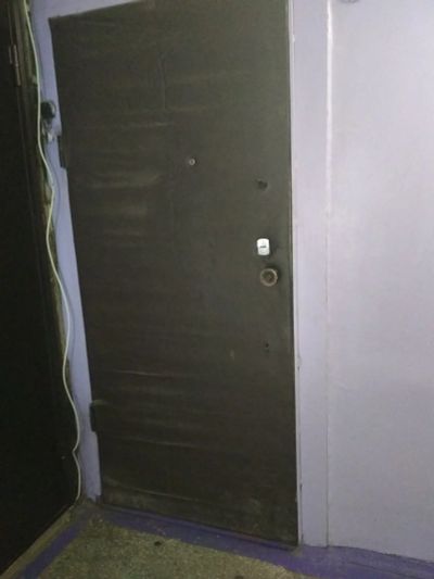 Лот: 15571955. Фото: 1. Дверь входная металлическая. Двери входные