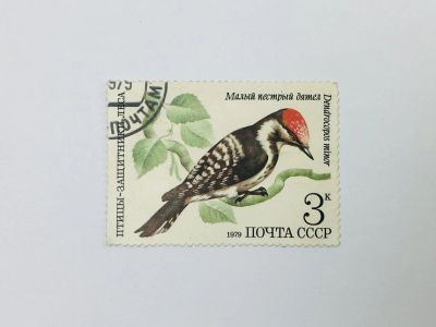 Лот: 23314448. Фото: 1. Птицы - защитники леса. Малый... Марки