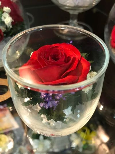 Лот: 11279231. Фото: 1. Живая роза в стекле! Оригинальный... Свежие цветы