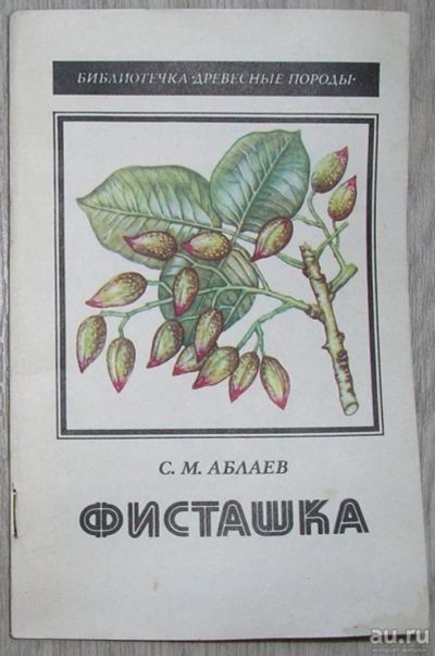 Лот: 8267965. Фото: 1. Фисташка. Аблаев С.М. 1987 г. Другое (хобби, туризм, спорт)