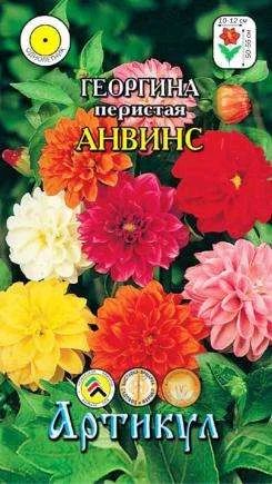 Лот: 11024722. Фото: 1. Георгина Анвинс 0,3гр//Артикул. Садовые цветы