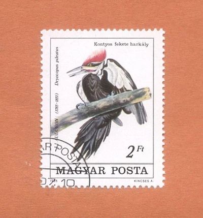 Лот: 10981101. Фото: 1. Марка "Птицы" Венгрия 1985. Марки