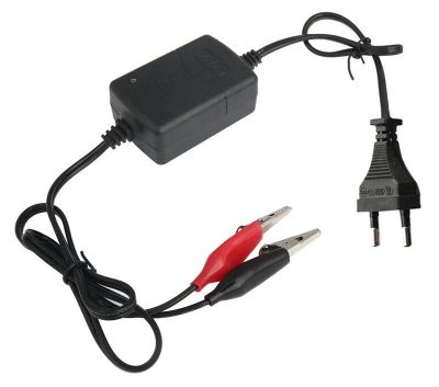 Лот: 9788236. Фото: 1. Зарядное устройство для автомобильного... Пуско-зарядные устройства