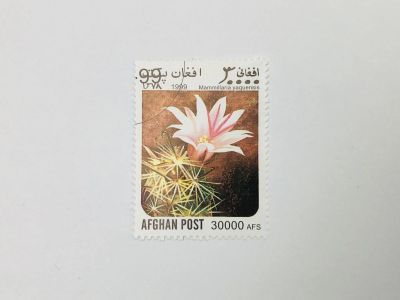 Лот: 23314077. Фото: 1. Кактусы. Маммиллярия. Mammillaria... Марки