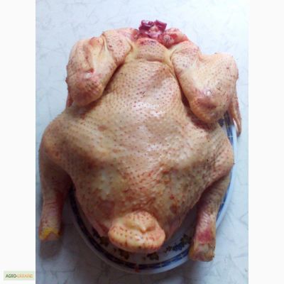 Лот: 12118047. Фото: 1. Мясо домашних кур. Мясо, птица, яйцо